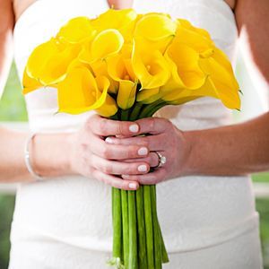 Meet your Posher, Meredith